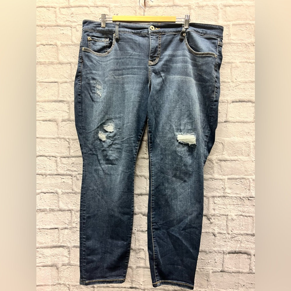 Women’s Torrid Premium Jeans
